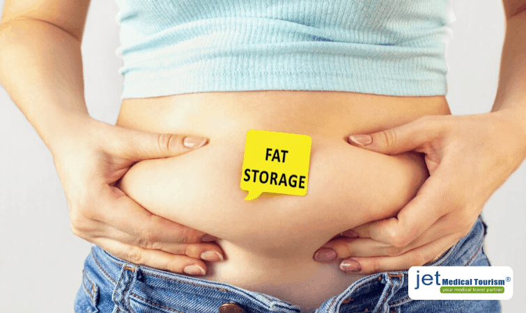 Fat Storage due to Excessive Insulin