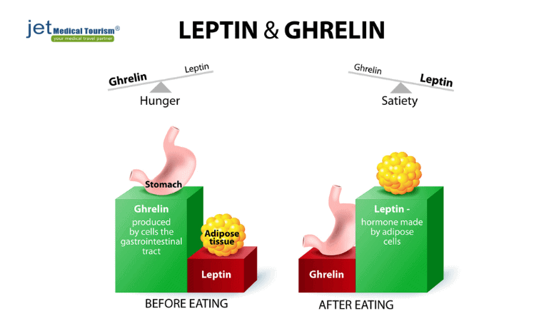 Role of leptin and ghrelin in obesity